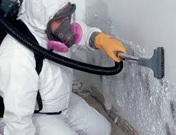 Best Commercial Mold Inspection in White Sulphur Springs, MT